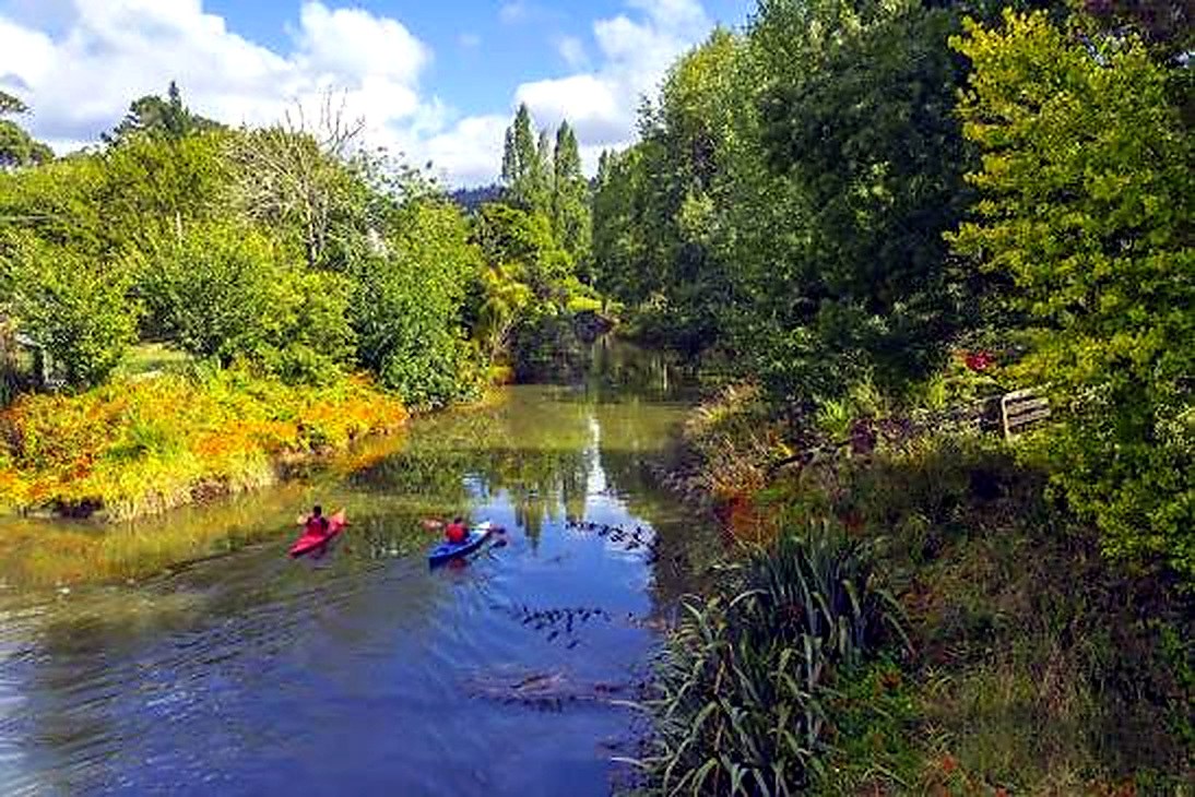 A lush green stretch of the Puhoi River