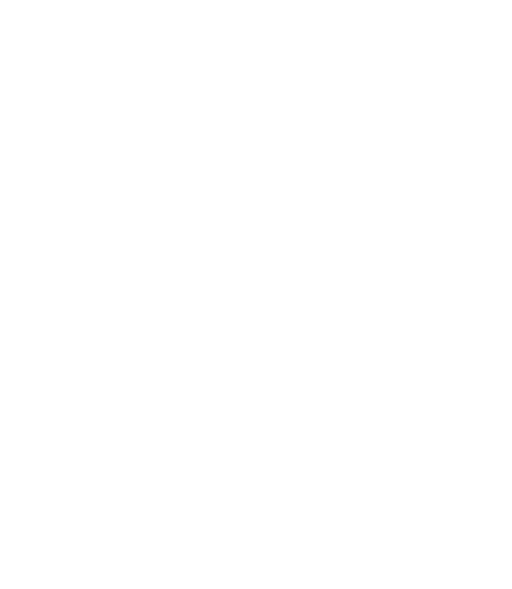 Puhoi River Kayaks logo