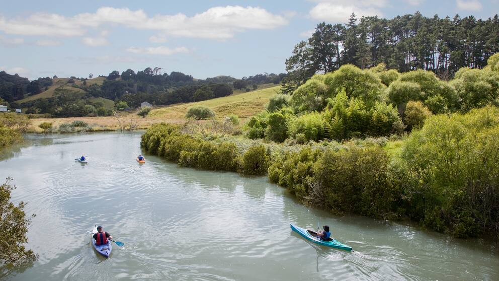 The river estuary