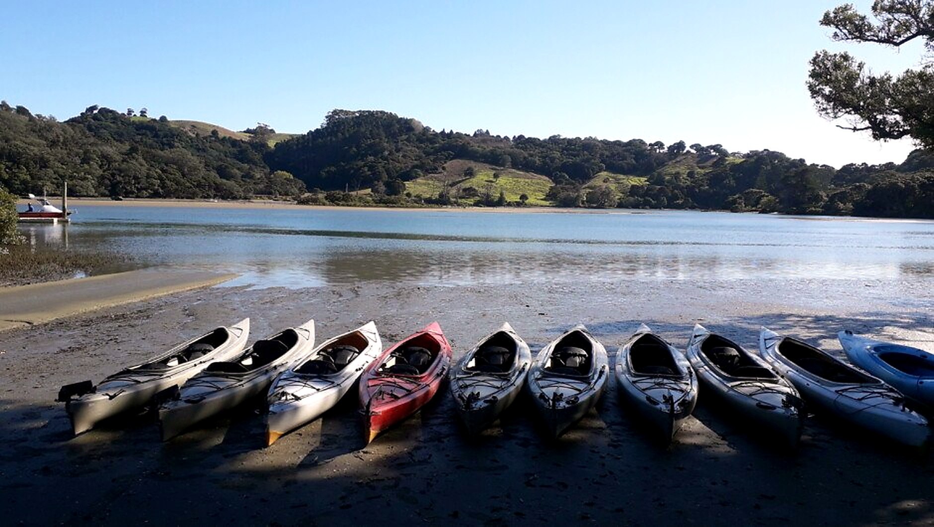 Kayakers paddling the Puhoi River