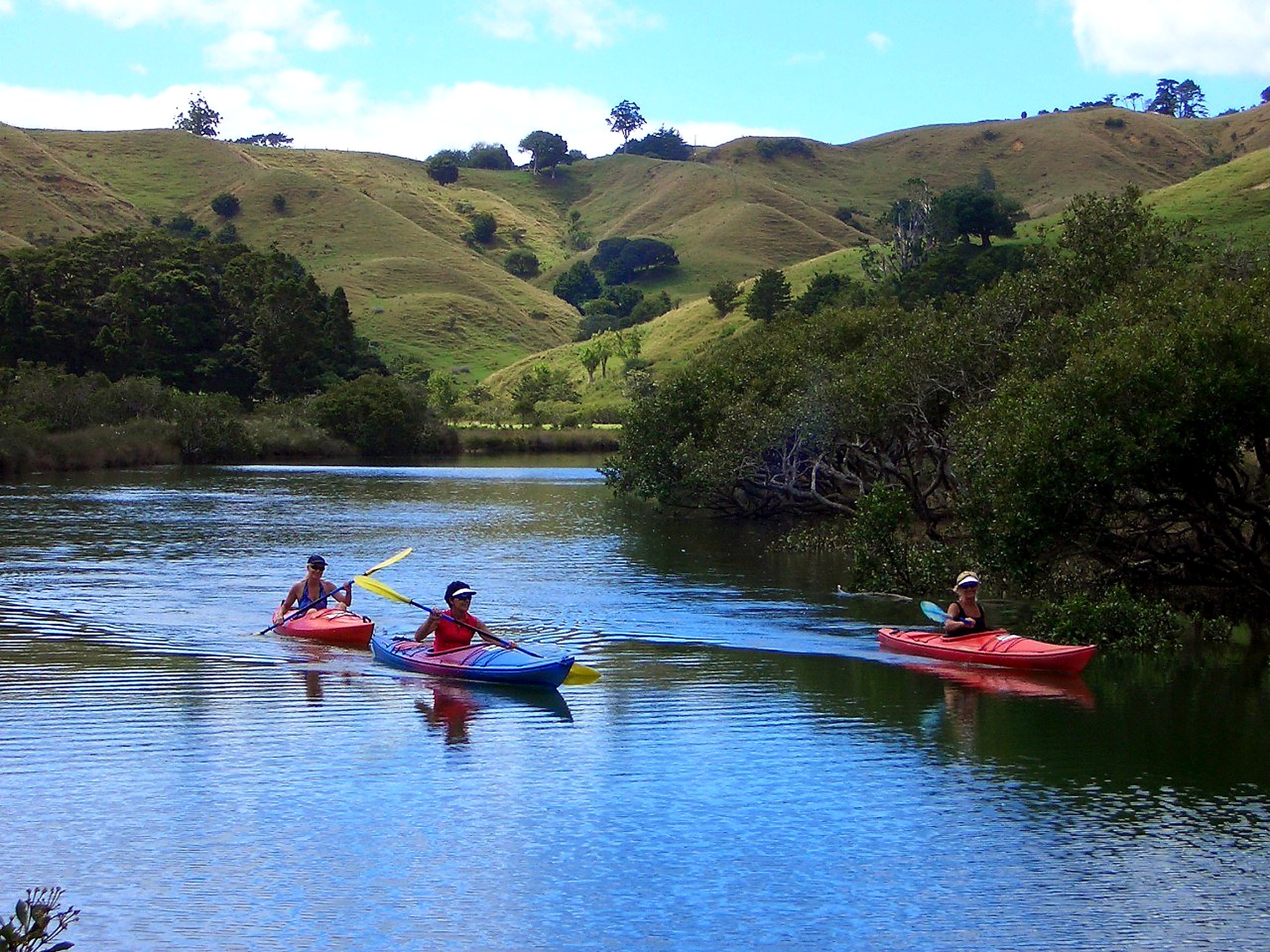 Group kayaking on the river