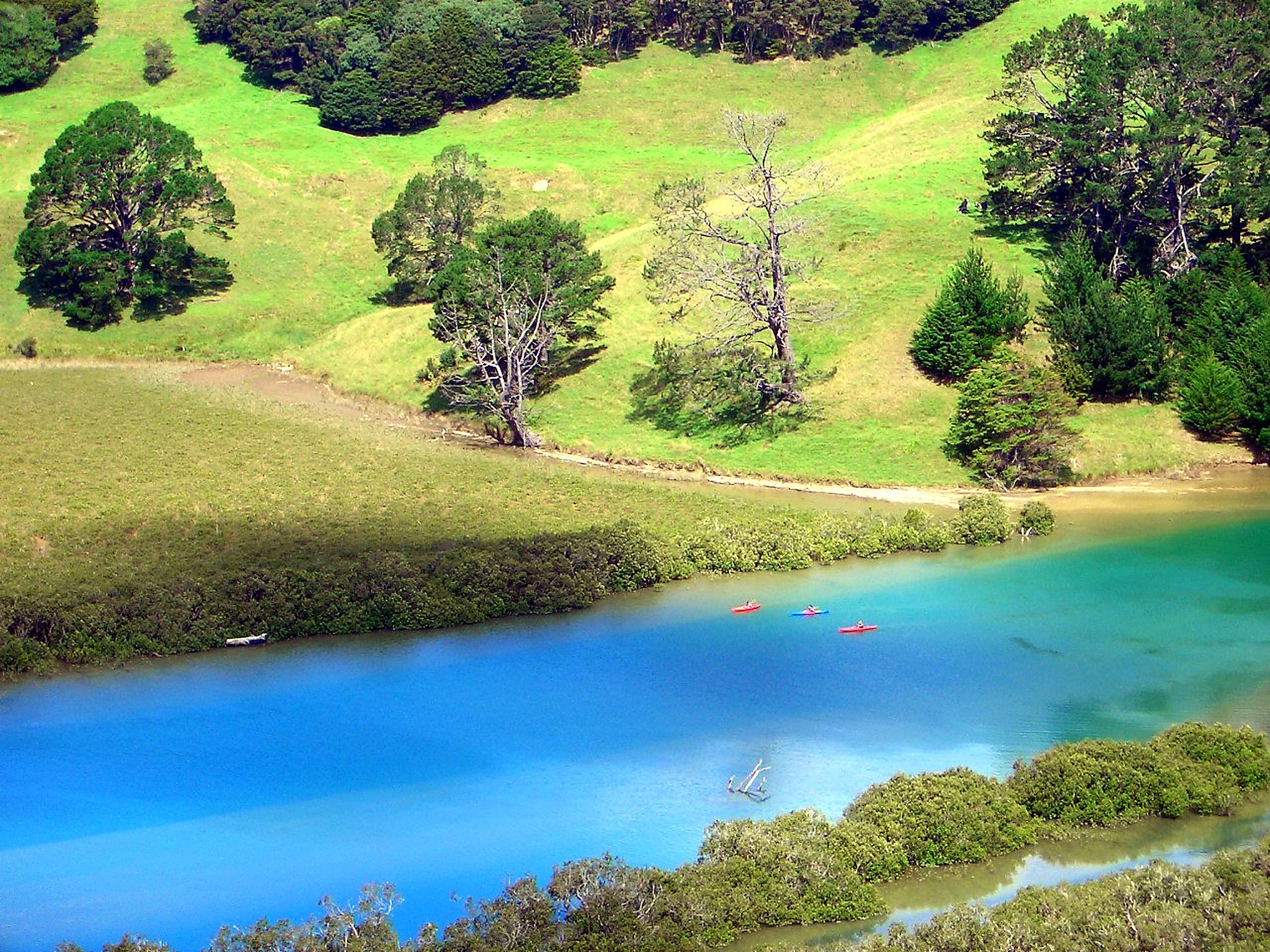 Kayaking on calm water